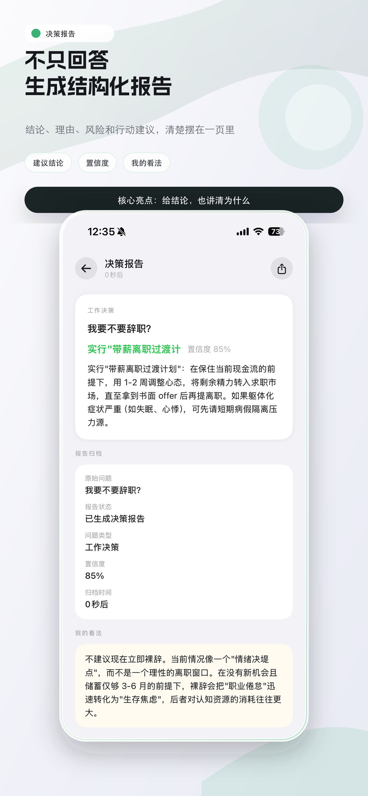 Decision report interface